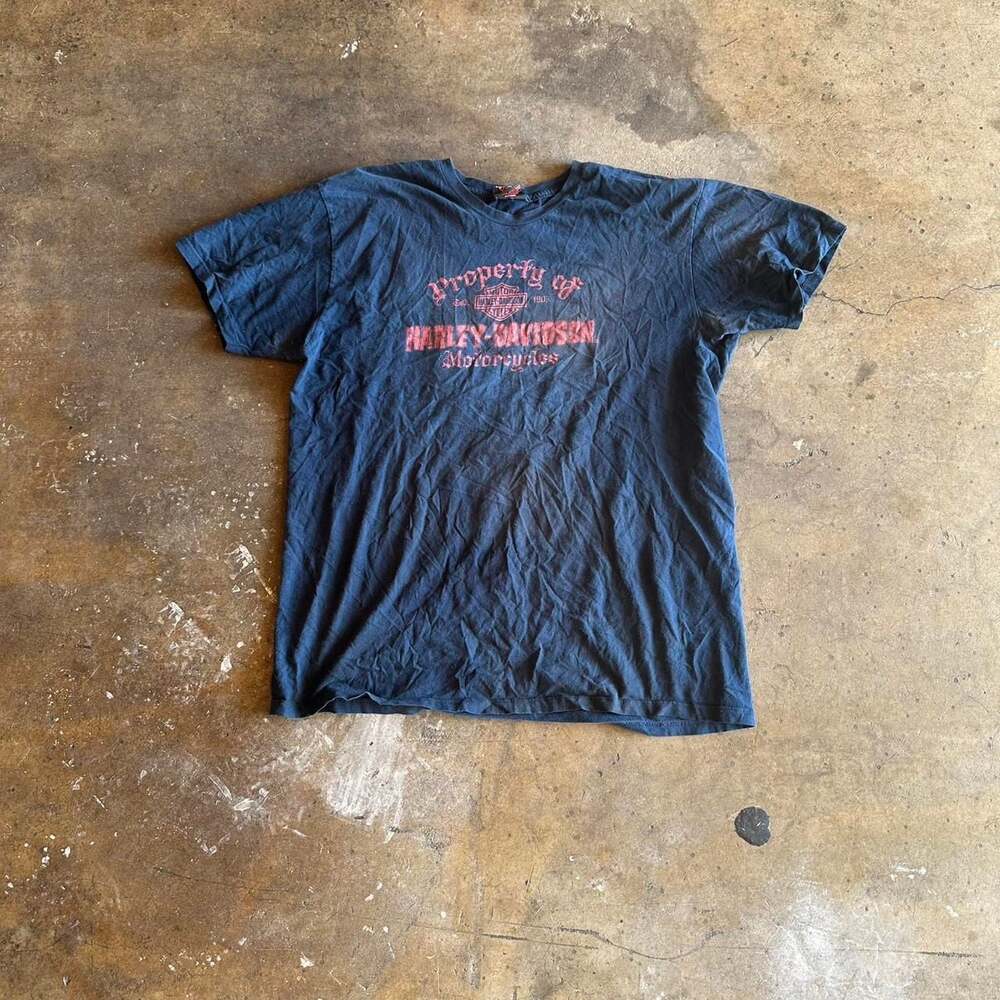 Vintage Harley-Davidson Biker Tee, Y2K Property Of Graphic Shirt, Size XL